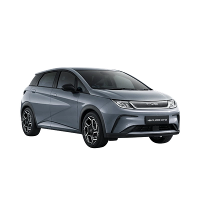 Byd Dolphin’e Özel Ürünler